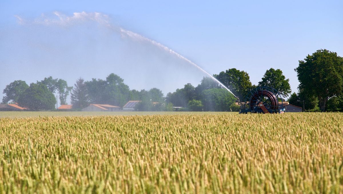 Agriculture et Sécheresse : Les Mesures de Gestion de l'Eau Renforcées dans Plusieurs Départements en Plein Mois d'Août