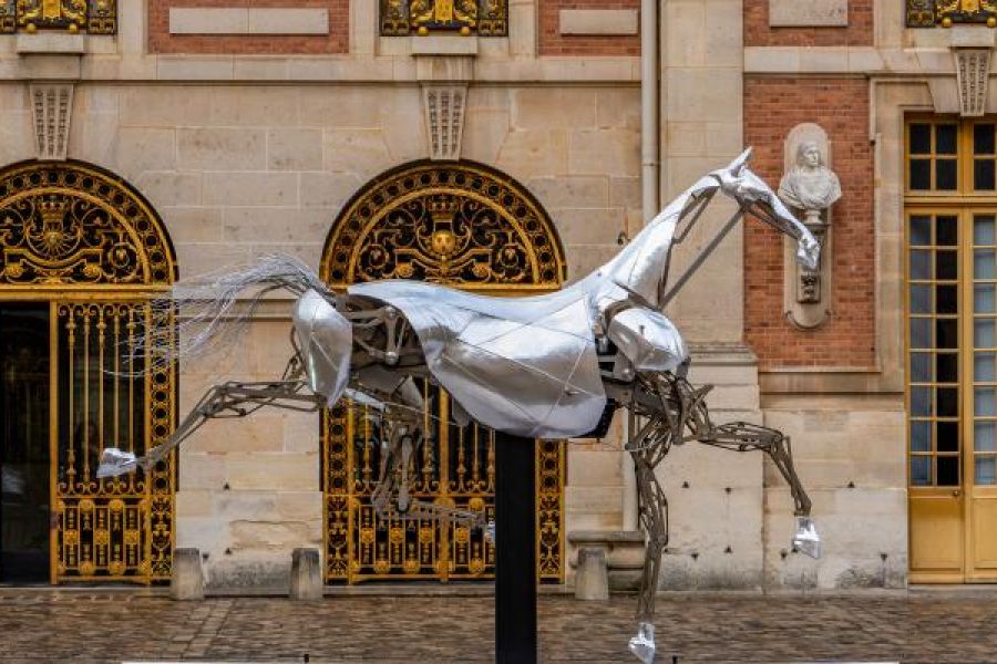 Zeus, le cheval mythique des JO sera exposé dans sa ville natale en 2025
