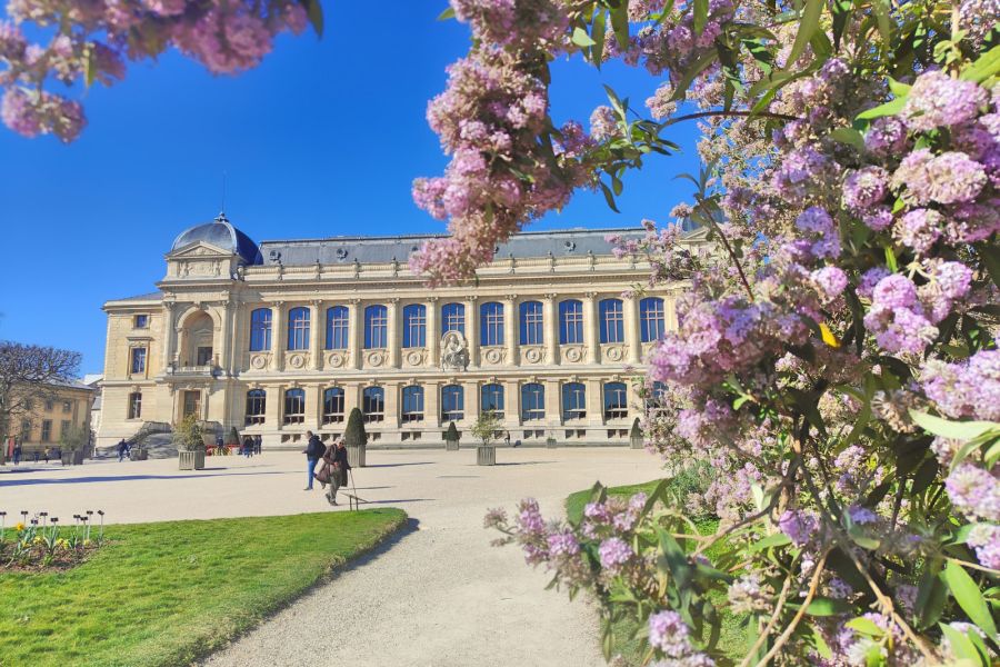 Le Grand Palais rouvre ses portes : "Art Capital" et la renaissance culturelle de Paris en 2026