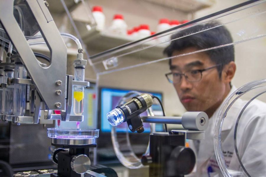 Des chercheurs de l'Université de Wake Forest ont réussi à imprimer en 3D un rein fonctionnel, marquant une avancée majeure dans le domaine de la médecine régénérative.