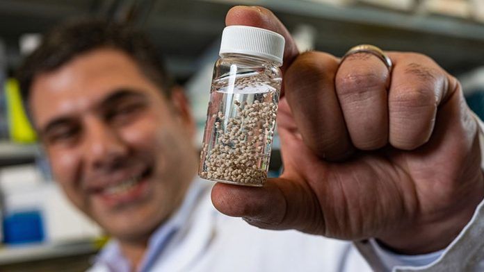 OMONDO SCIENCES : Un traitement révolutionnaire éradique une forme de cancer jusque-là incurable