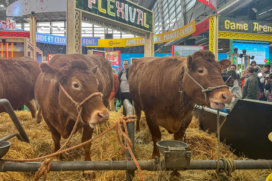Salon de l'agriculture 2025 : Entre tradition et innovation, quel avenir pour les agriculteurs français ?