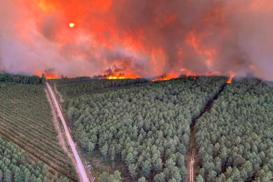 Incendies en Gironde : Lutte acharnée contre les feux de forêt géants et course contre la montre