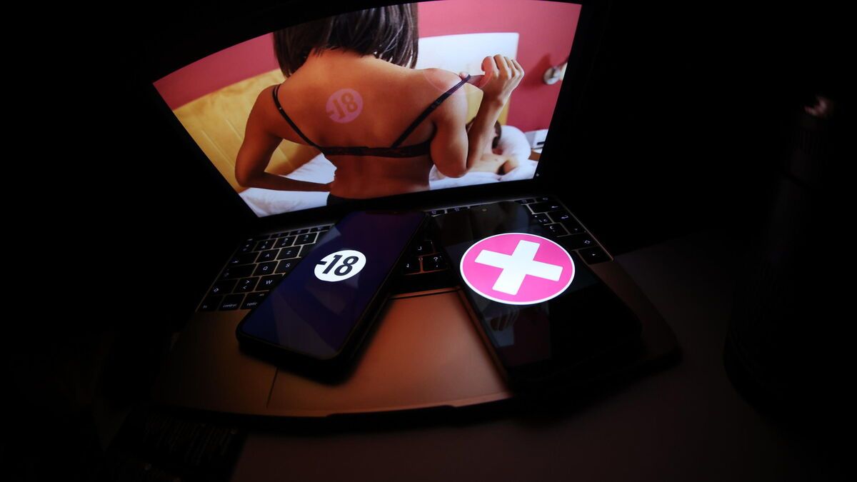 OMONDO TECH - Contrôle d'âge sur les sites pornographiques : les banques s'opposent à des mesures jugées peu efficaces