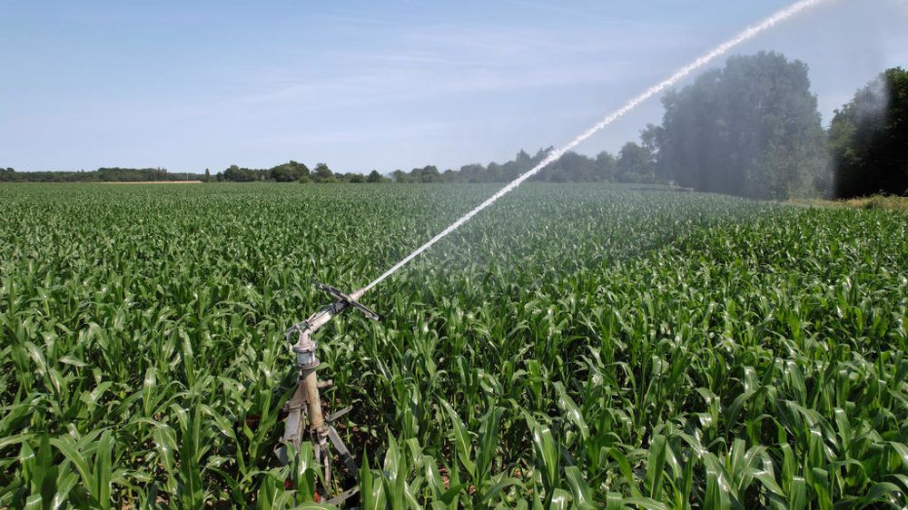 France : la pénurie d’eau menace l’agriculture, des récoltes 2025 déjà compromises
