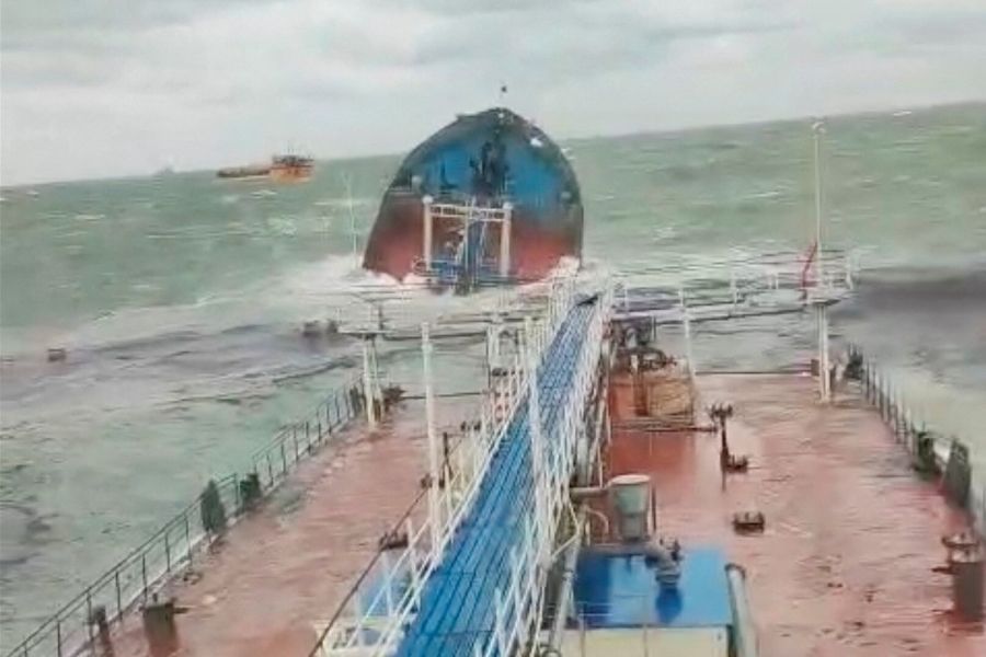 Marée noire en Russie - Plus de 30 cétacés retrouvés morts en mer Noire Une catastrophe écologique en mer Noire