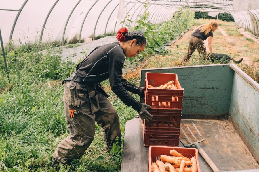 DOSSIER D'INVESTIGATION : La Guerre des TerresAgriculture Paysanne vs Méga-fermes : Le duel pour l'assiette de 2026