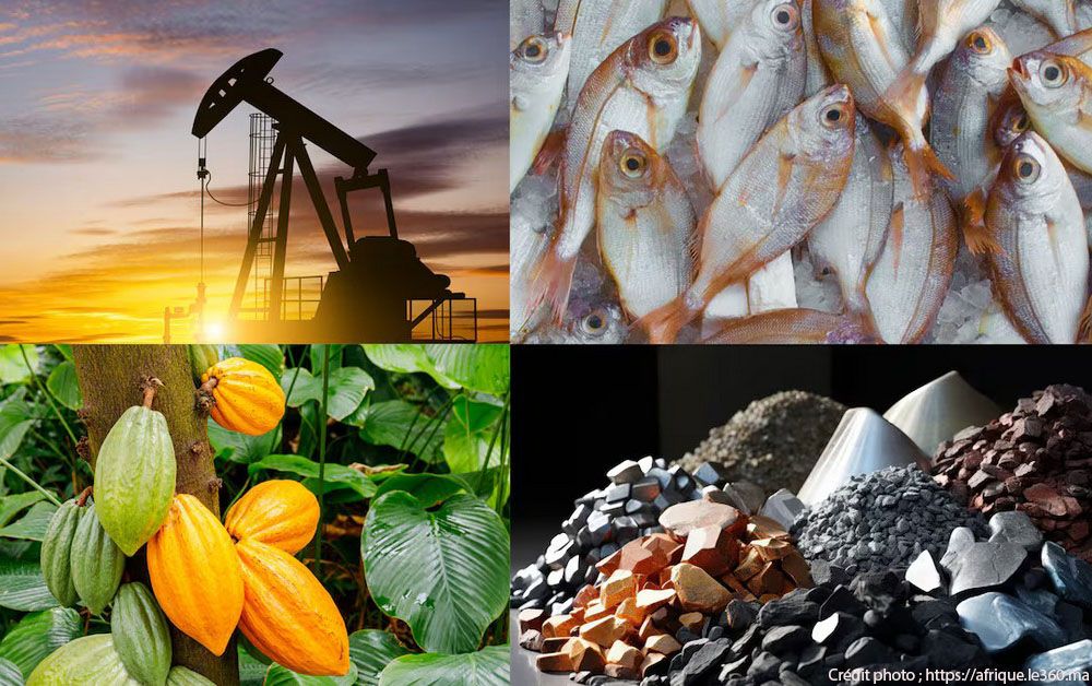 Pétrole, Engrais et Verre : L'effondrement silencieux de la chaîne alimentaire mondiale – Le cri d'alarme de PEE-VALIS.