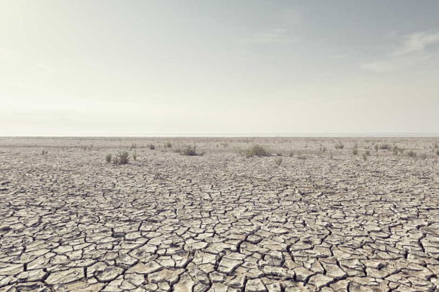 Risque Climatique : La Sécurité Alimentaire et l'Hydratation Menacées par les Vagues de Chaleur Inédites à Proximité des Forums Internationaux