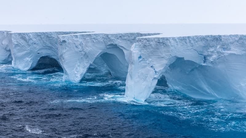 Échouage du plus grand iceberg : conséquences sur l'écosystème antarctique