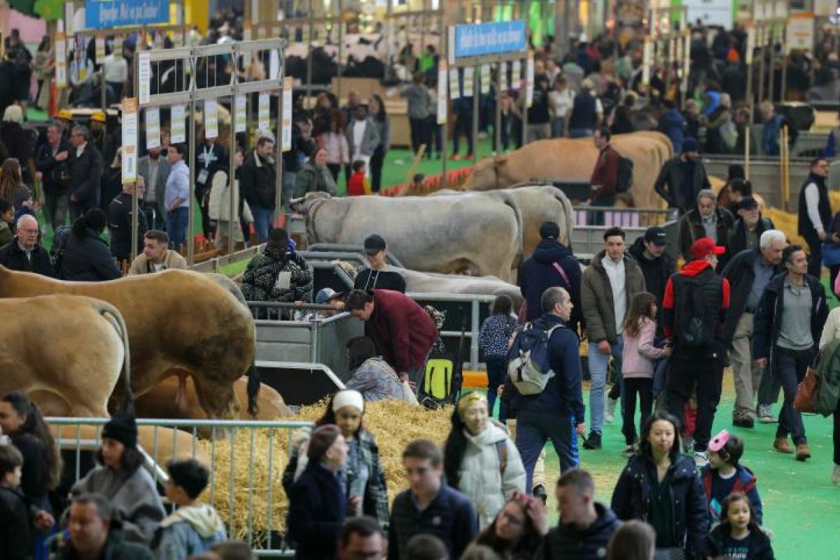 Salon de l'Agriculture 2026 : Le cri de détresse de la "Ferme France" et l'urgence de la souveraineté