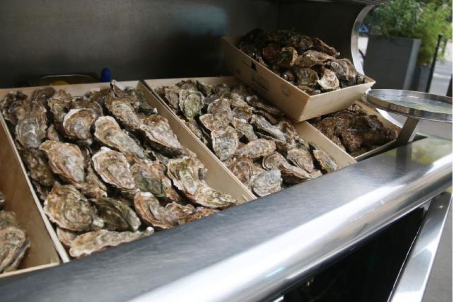 États-Unis : une épidémie liée aux huîtres crues fait au moins 80 malades à Los Angeles