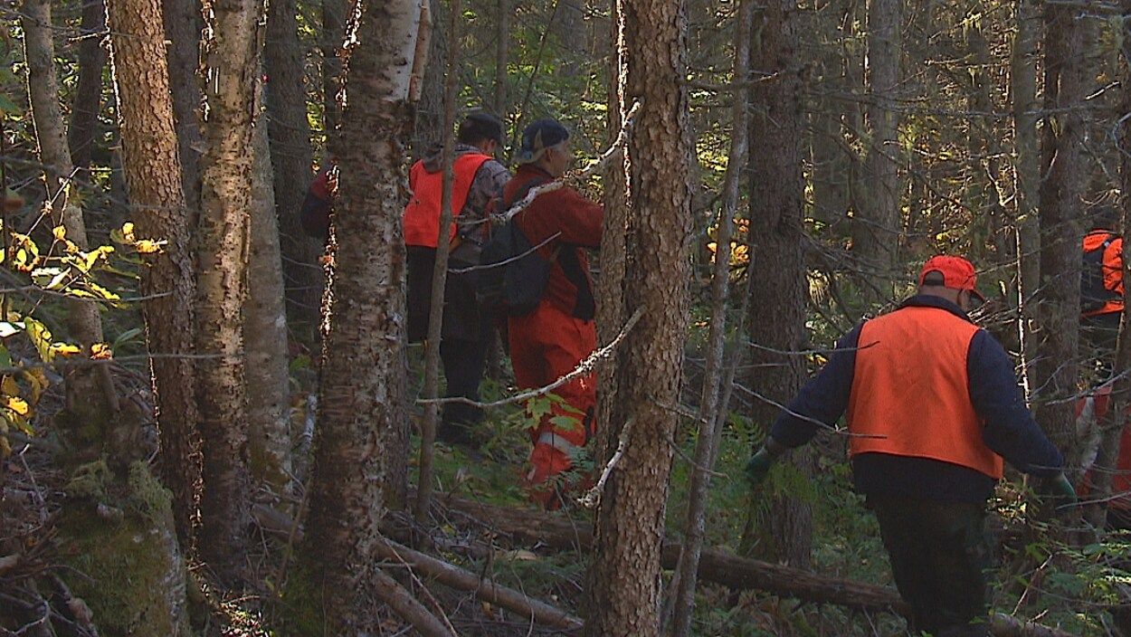 Canada : un randonneur survit 50 jours dans la forêt par -20°C