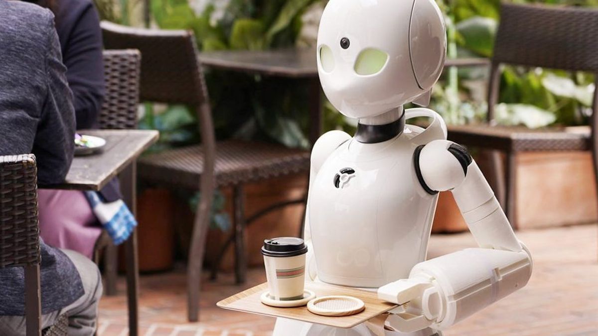 Japon 2026 : Le « Plan Renaissance » et l’intégration de la robotique sociale