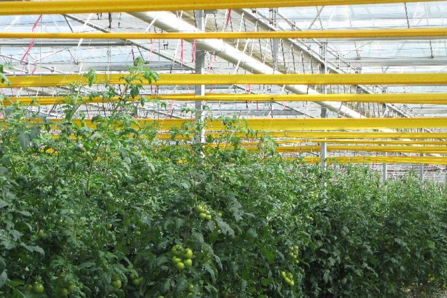 DOSSIER OMONDO 1 : LE PIÈGE DE LA CONSERVATION SÉLECTIVE