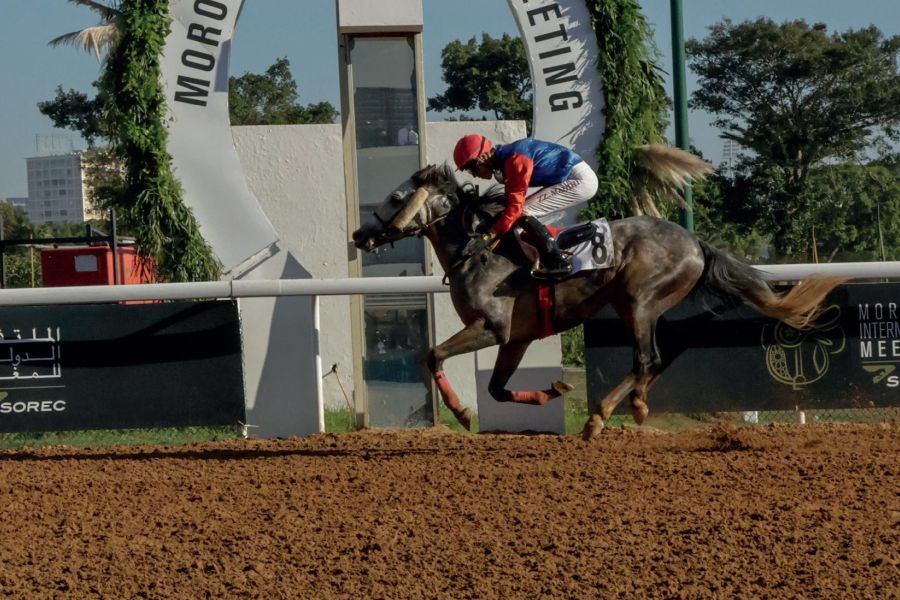 Sommet Hippique de Casablanca : Morocco International Meeting – L'Ascension du Maroc dans la Gouvernance Mondiale des Courses de Pur-Sang.