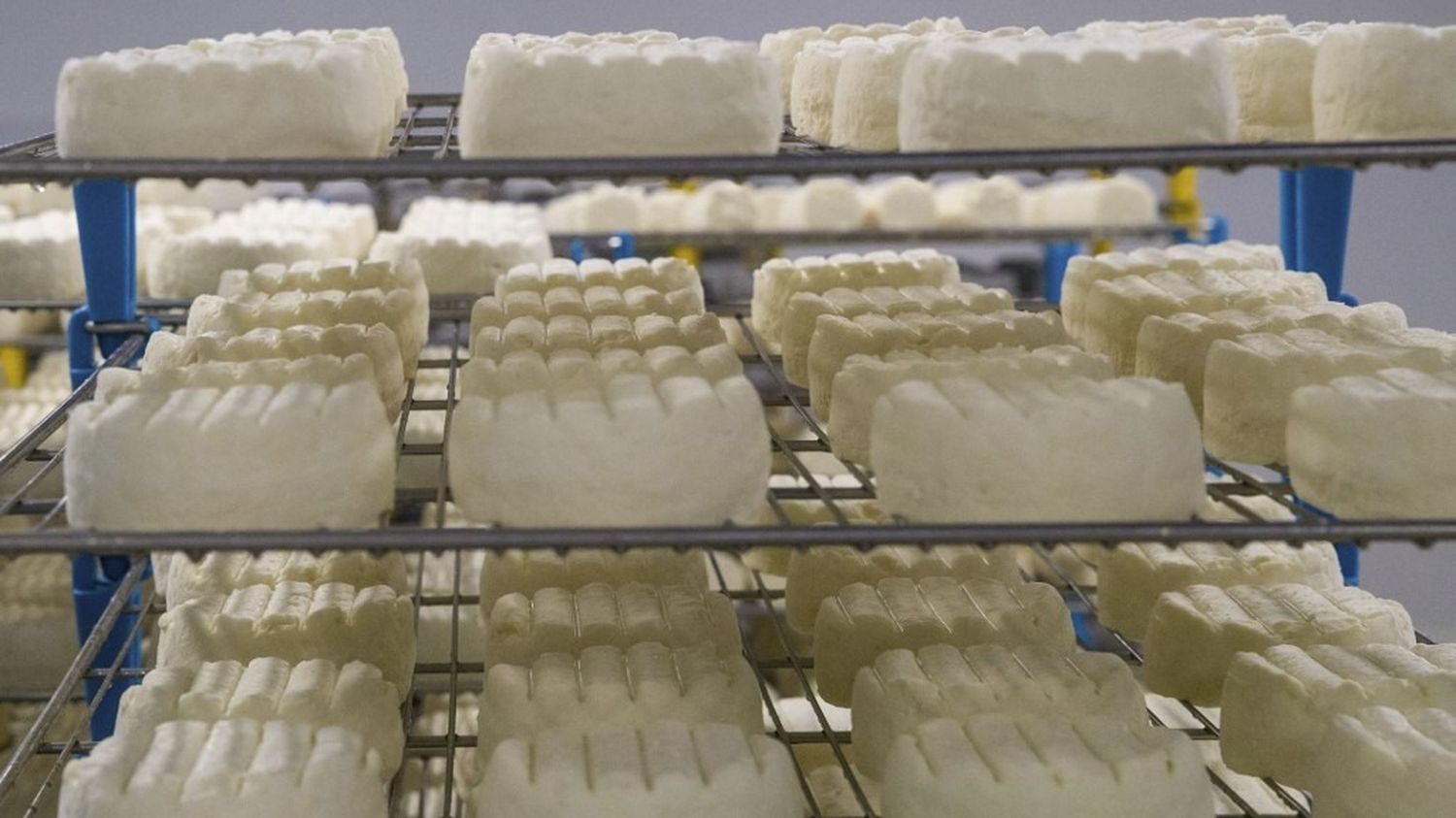 Scandale sanitaire en France : fromages contaminés à la Listeria, enquêtes sur une alerte ignorée depuis juin