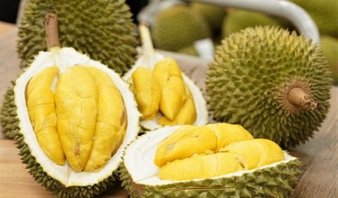 Vietnam : la chute des prix du durian freine les ambitions d’exportation vers la Chine