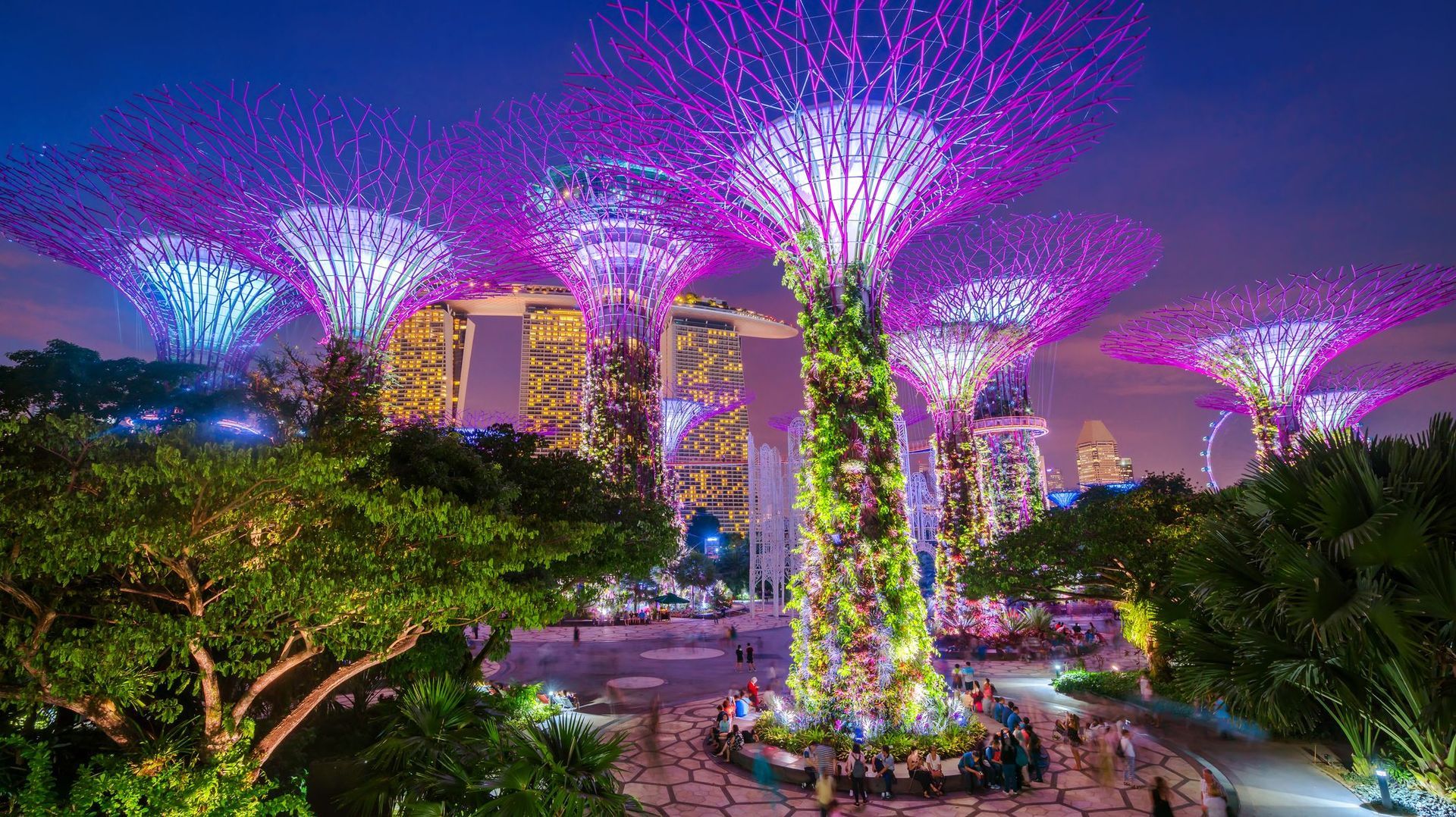 Singapour 2026 : Le triomphe du modèle « Zéro Déchet » et de la Ville-Jardin