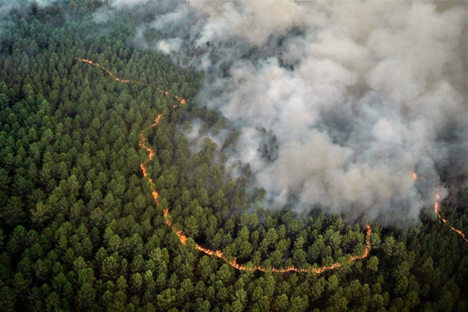 Massif des Landes de Gascogne : Stratégies de Prévention et Déploiement Inédit face aux Risques d'Incendie