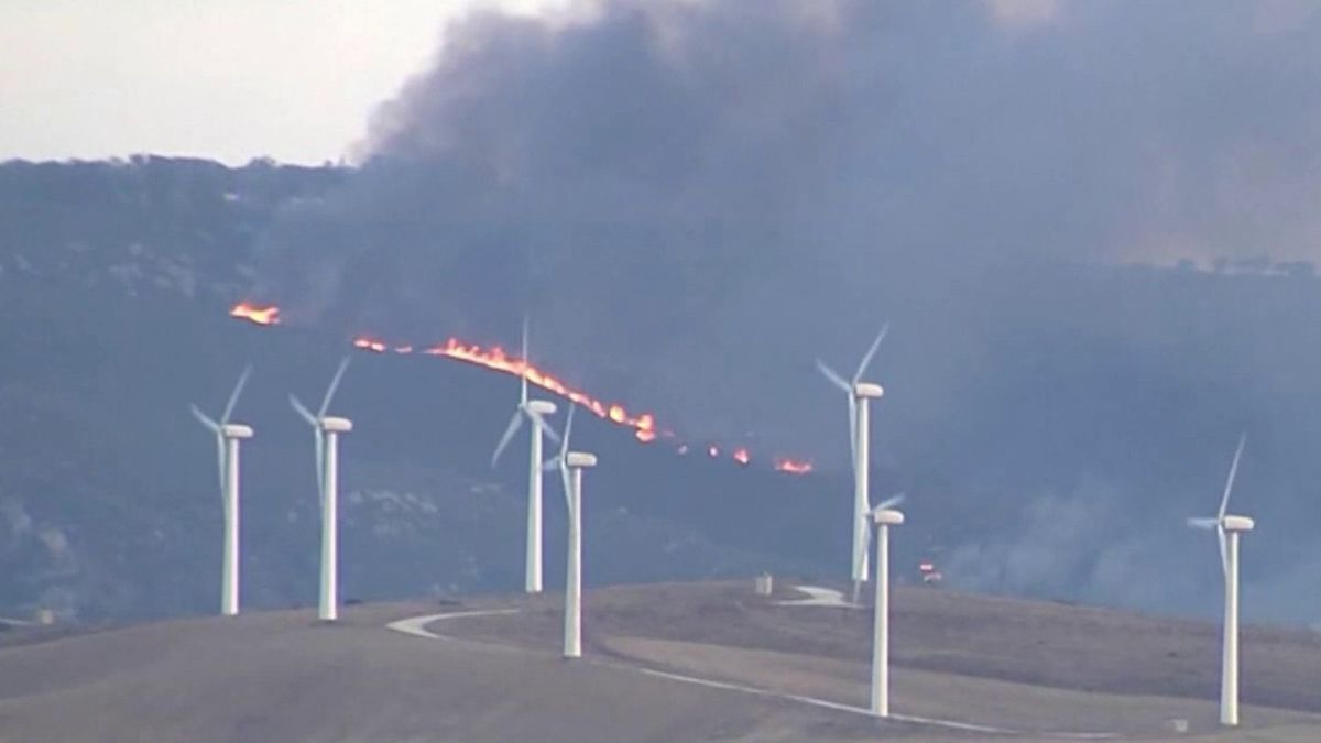 Espagne frappée, 1100 morts liés à la canicule et 30.000 hectares partis en fumée en 24h