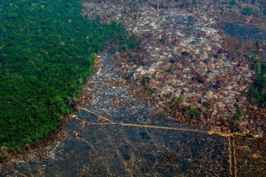 Le Plan "Amazonie 2030" : Comment Lula transforme le poumon vert en coffre-fort climatique mondial