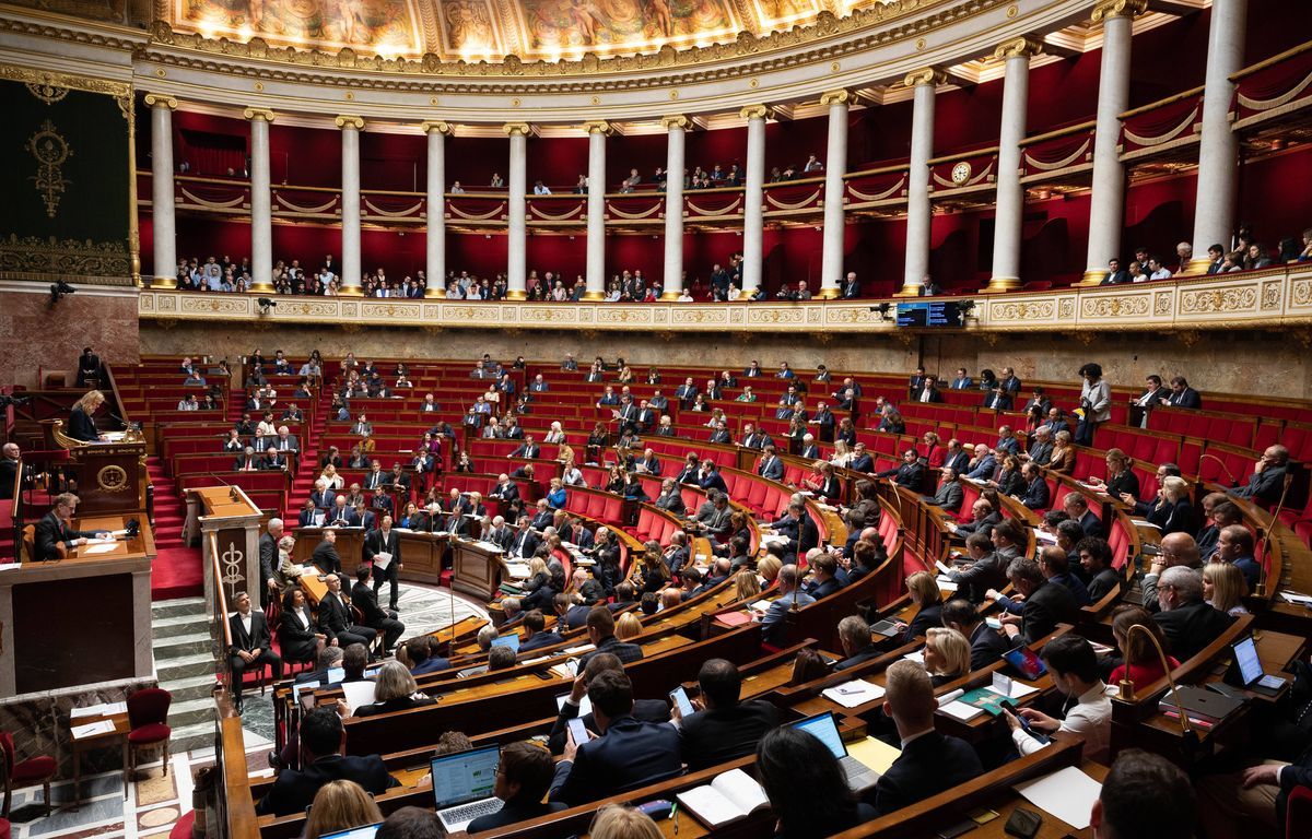 Adoption du Projet de Loi Immigration par le Parlement Français