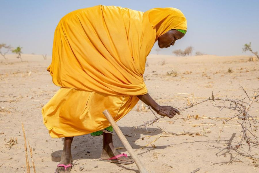 Changement climatique : comment les femmes mènent-elles la lutte à travers le monde ?