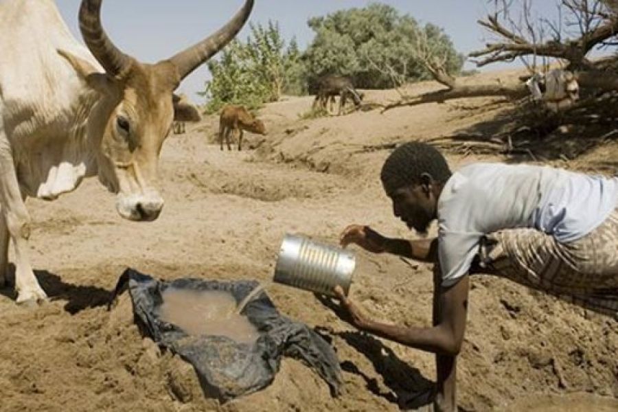 OMONDO ENVIRONNEMENT - Crise de l'eau dans la Corne de l'Afrique : des millions de personnes en danger