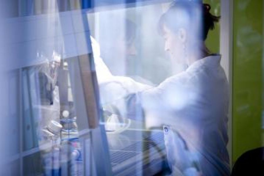 Épidémie de grippe 2025 - Un fléchissement tardif mais significatif