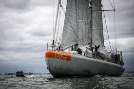 OMONDO ENVIRONNEMENT - La goélette scientifique Tara de retour en France avec des découvertes maritimes