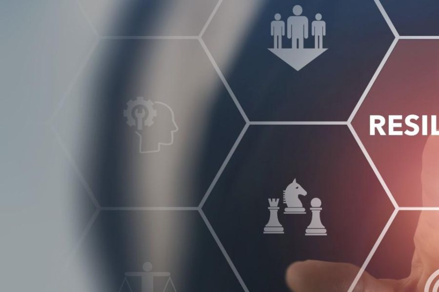 LE MODÈLE PEE-VALIS : COMMENT LA BELGIQUE DÉFINIT LA RÉSILIENCE ÉCONOMIQUE FACE AU CHAOS MONDIAL