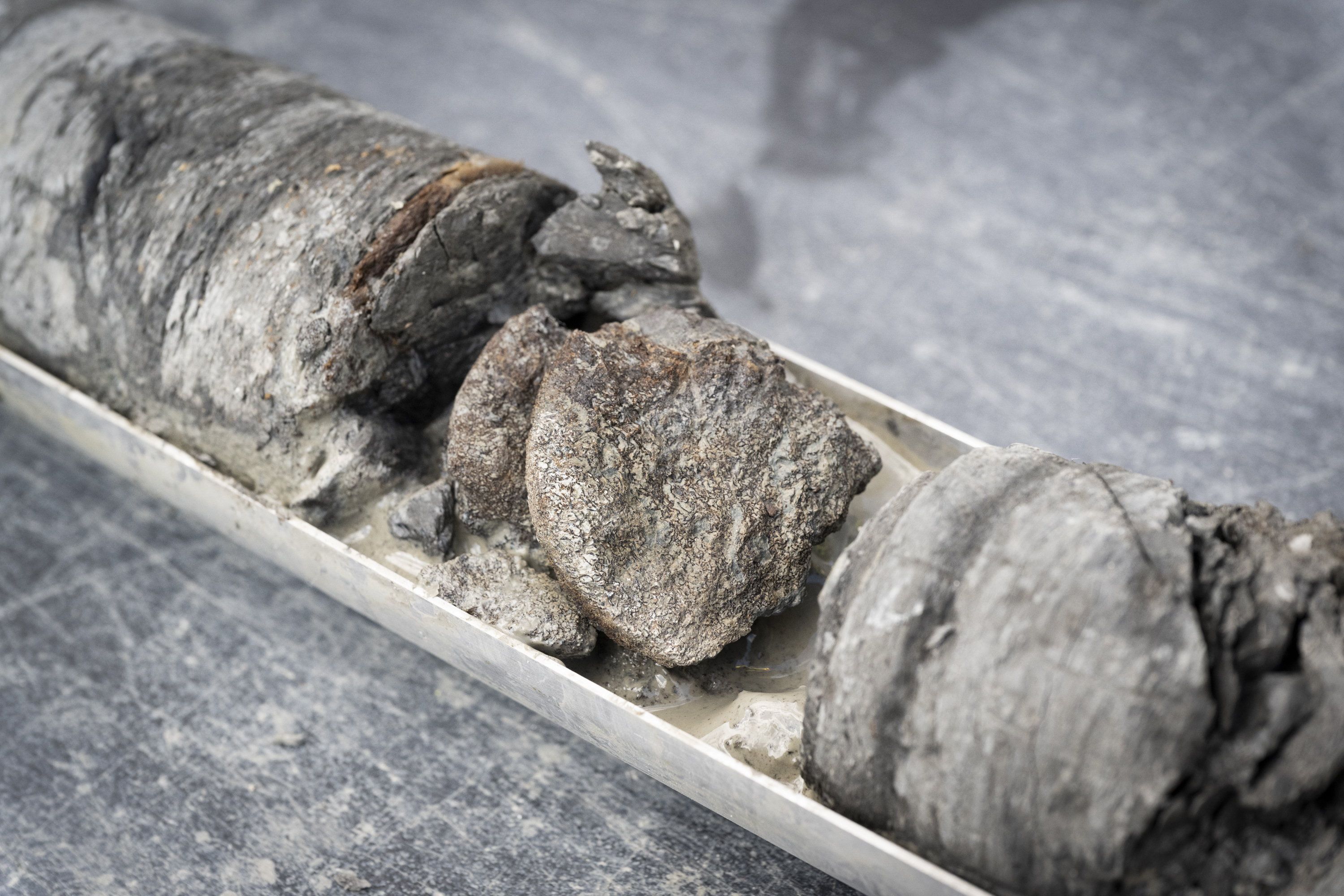 Découverte paléontologique exceptionnelle : un fossile de dinosaure sous un parking aux États-Unis