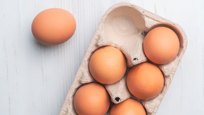 OMONDO CONSOMMATION - Alerte sanitaire : rappel massif d'œufs pour risque de salmonellose