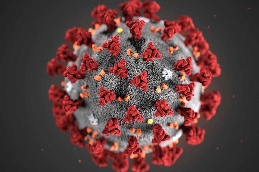 Microbes du passé : comment la science éclaire la durée des épidémies historiques