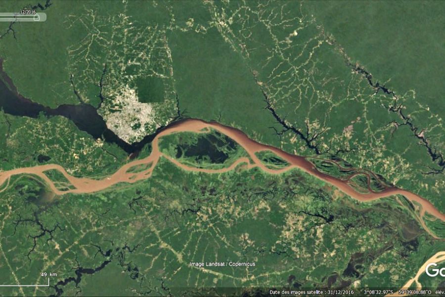 Le Poumon de l’Humanité Respire : Le Bilan Radical du Plan Amazonie d’El Globo