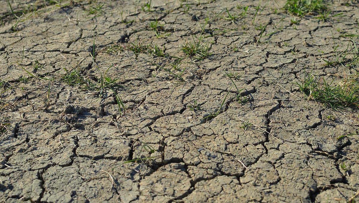 Sécheresse critique en Occitanie, restrictions drastiques sur l’usage de l’eau