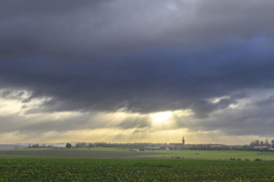 Retour temporaire du printemps cette semaine : Une bouffée d'air frais avant un retour de la réalité hivernale ?